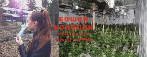 не бодяженный Белокуриха