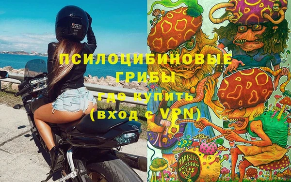 не бодяженный Белокуриха
