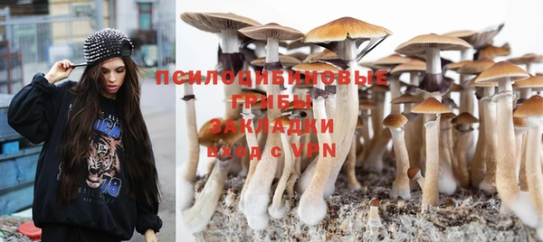 не бодяженный Белокуриха
