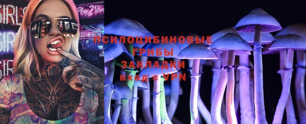первитин Белоозёрский