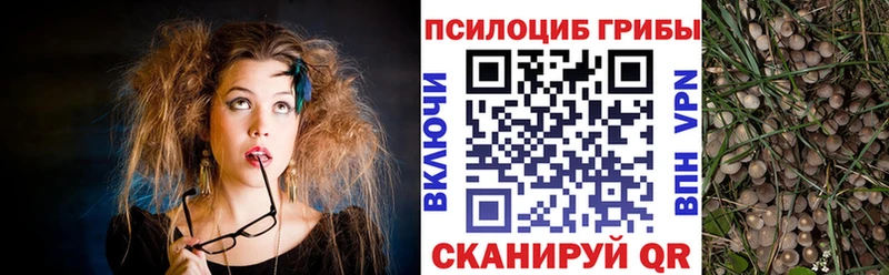 Купить  Котово  Галлюциногенные грибы мухоморы 